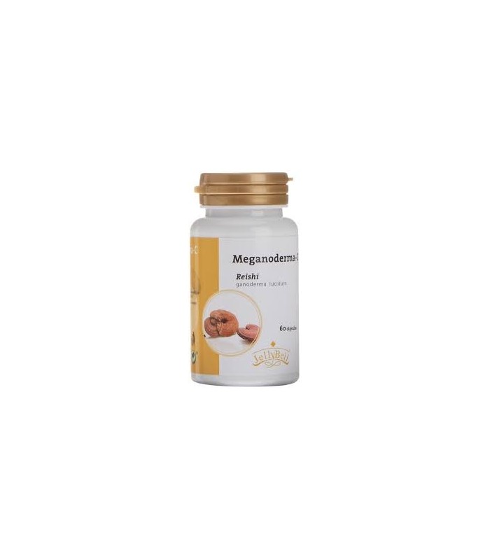 MEGANODERMA-C-REISHI
