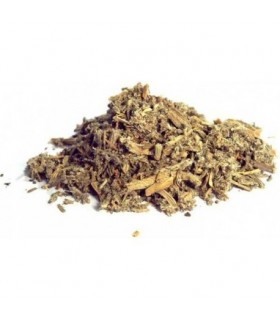 Alcachofera hojas a granel · 50 GR