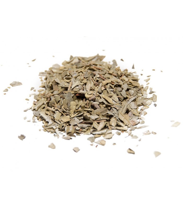 Boldo hoja a granel · 100 GR