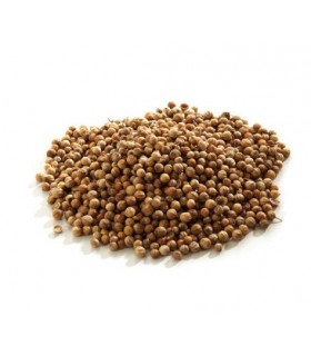 Cilantro en granel · 100 GR