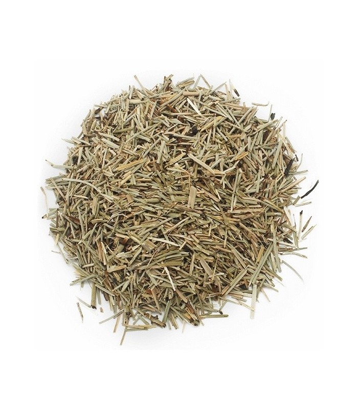 Cola de caballo planta a granel · 100 GR