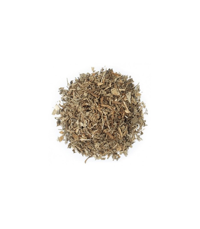 Diente de león a granel · 100 GR