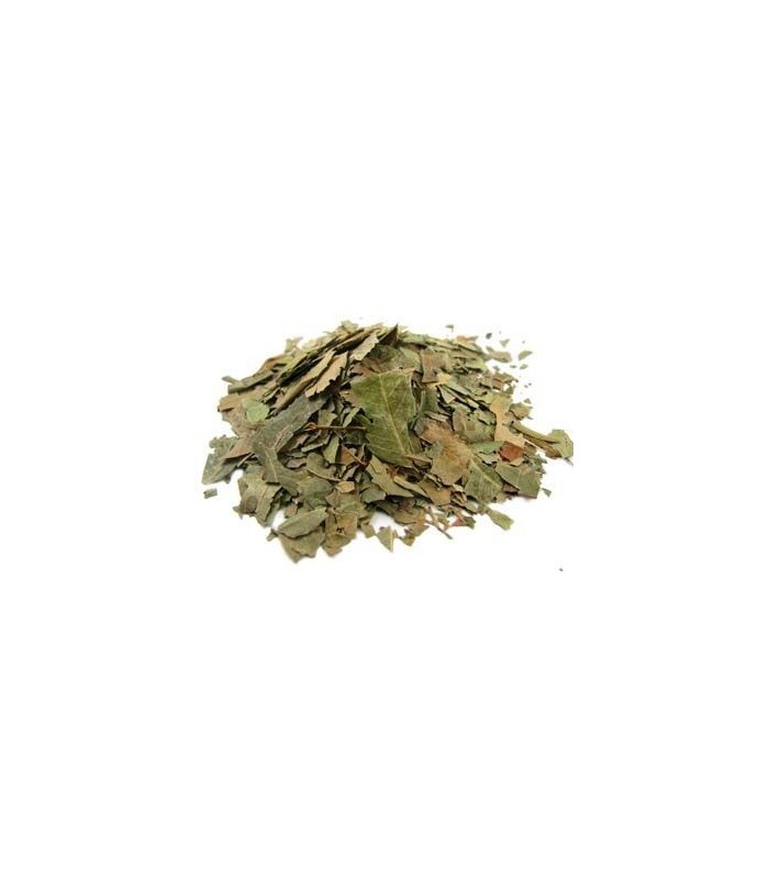 Eucalipto hoja a granel · 100 GR