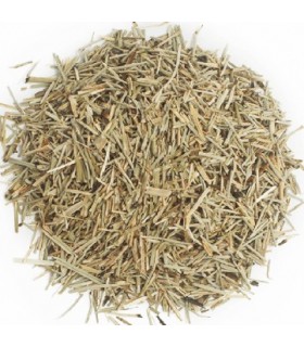 Eufrasia planta a granel · 100 GR