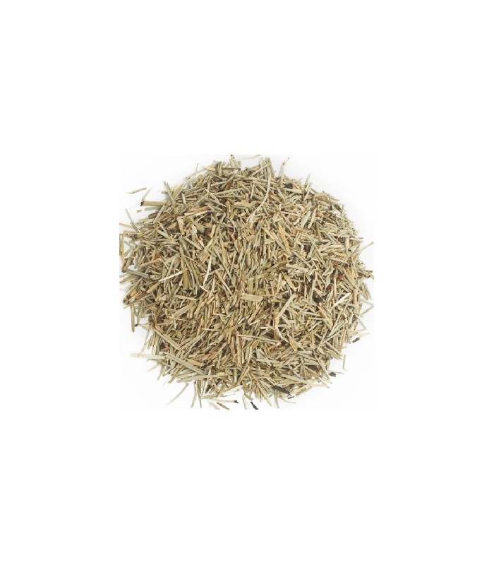 Eufrasia planta a granel · 100 GR