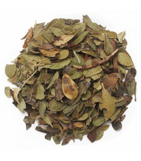 Gayuba hojas a granel · 100 GR