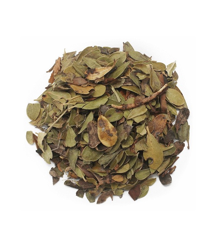 Gayuba hojas a granel · 100 GR