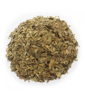 Ginkgo biloba hoja a granel · 50 GR