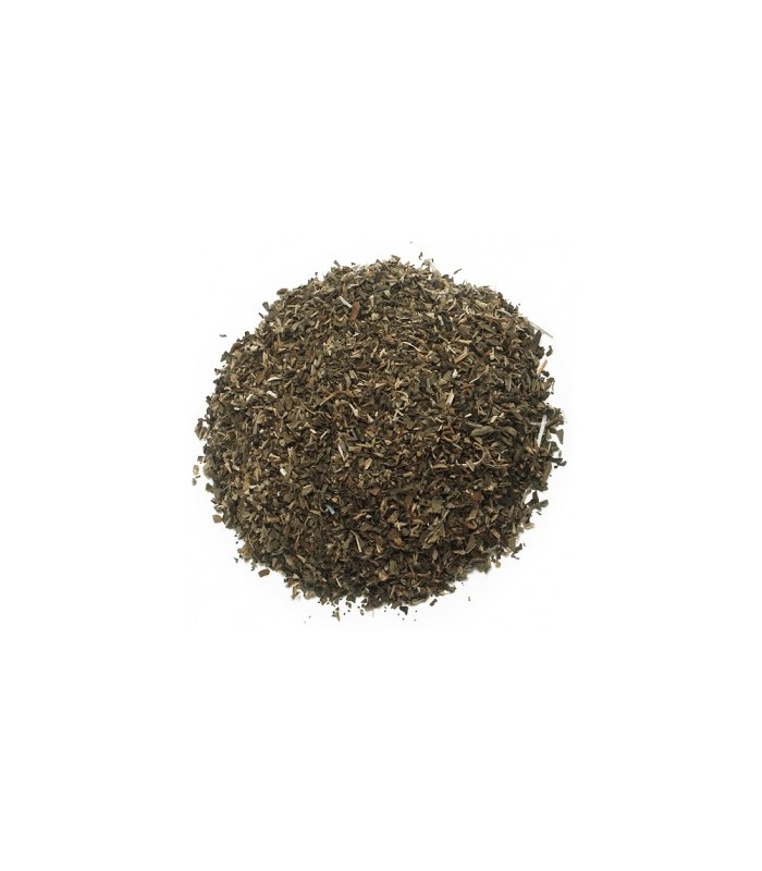 Menta piperita hojas a granel · 100 GR