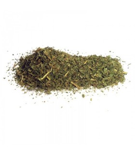 Ortiga verde hoja a granel · 50 GR