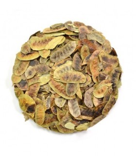 SEN FOLÍCULO A GRANEL, 100 GR