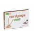 Cordyceps Neo · Neovital · 60 Cápsulas