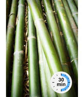 MASAJE CAÑA BAMBÚ - 30 MINUTOS DURACIÓN