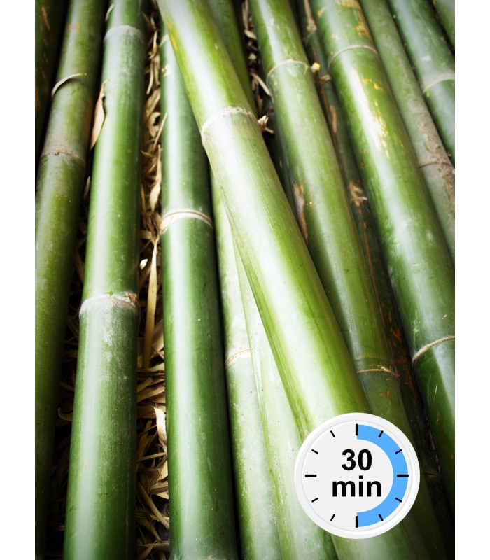 MASAJE CAÑA BAMBÚ - 30 MINUTOS DURACIÓN