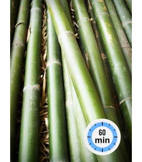 MASAJE CAÑA BAMBÚ - 1 HORA DURACIÓN