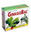 Gonkgobac · Golden Green natural · 60 Cápsulas