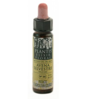 Elixir floral Nº 36 Avena silvestre · Plantis · 10 ML