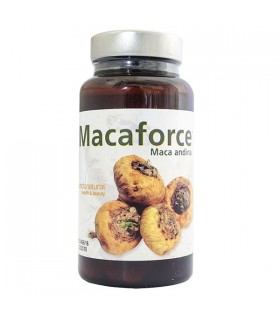 MACAFORCE MACA ANDINA · MUNDONATURAL · 60 CÁPSULAS