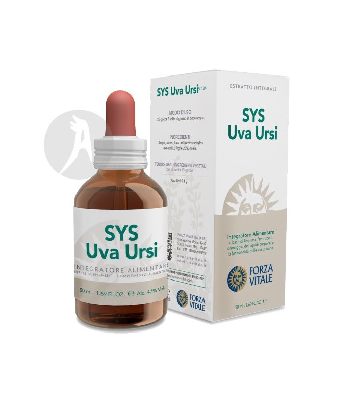 SYS-BOLSA-DEL-PASTOR