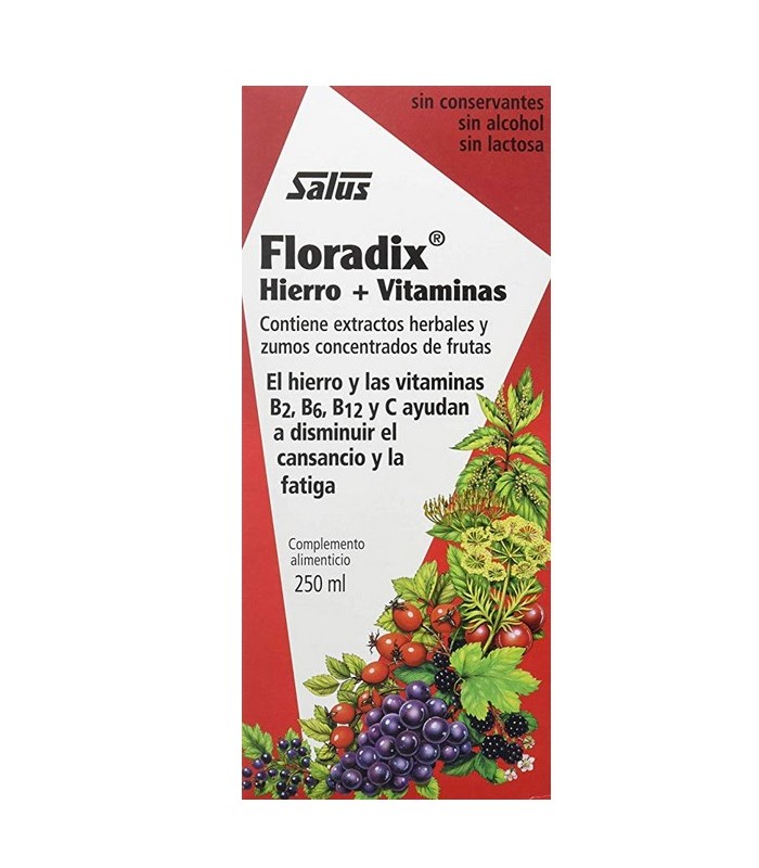 Floradix Hierro y Vitaminas · Salus · 250 Ml