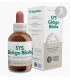 SYS-GINKGO-BILOBA 