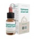 Quintaesencia Semi Caldi (Semillas Calientes)  · Forza Vitale · 10 Ml