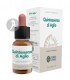 Quintaesencia Aglio (Ajo) · Forza Vitale · 10 Ml