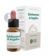 Quintaesencia Angelica · Forza Vitale · 10 Ml