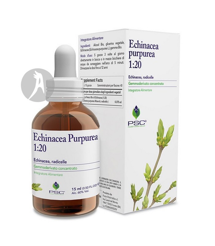 PSC-EQUINACEA-PURPUREA