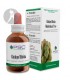 PSC-GINKGO-BILOBA 