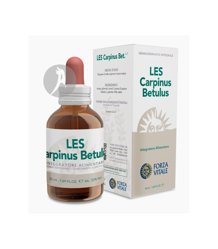 LES-CARPINUS-BETULUS 