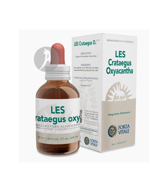 LES-CRATAEGUS-OXYACANTHA 