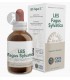 LES FAGUS SYLVATICA FORZA VITALE 50 ML
