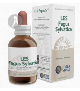 LES FAGUS SYLVATICA FORZA VITALE 50 ML