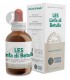 LES-LINFA-DI-BETULLA