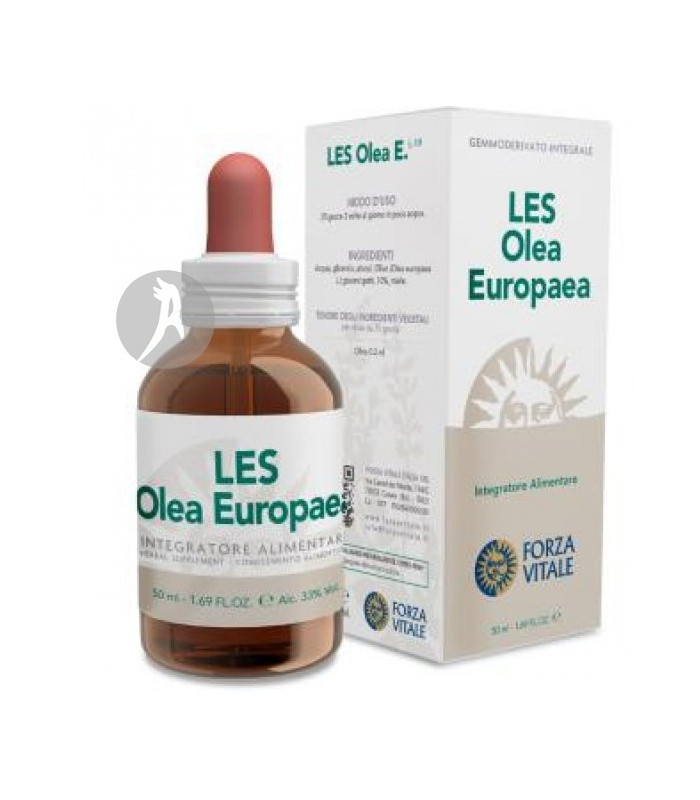 LES-OLEA-EUROPAEA 