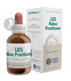 LES-RUBUS-FRUCTICOSUS