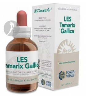 LES-TAMARIX-GALLICA
