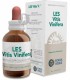 LES-VITIS-VINIFERA 