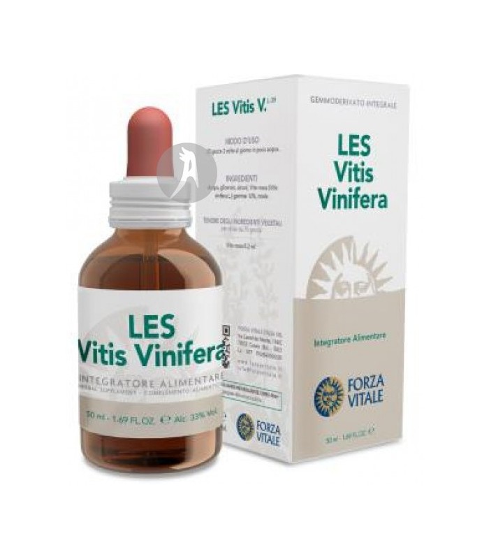LES-VITIS-VINIFERA 
