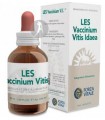 LES Vaccinum Vitis Idaea (Arándano Rojo) · Forza Vitale · 50 Ml