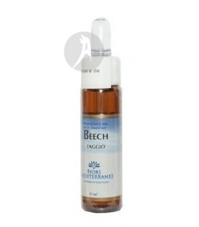 FM Beech (Haya) · Forza Vitale · 10 Ml