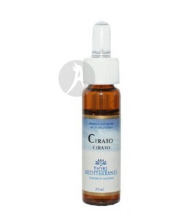 FM Cerato (Ceratostigma)  · Forza Vitale · 10 Ml