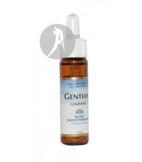 FM Gentian (Genciana) · Forza Vitale · 10 Ml