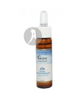 FM Gorse (Aulaga) · Forza Vitale · 10 Ml