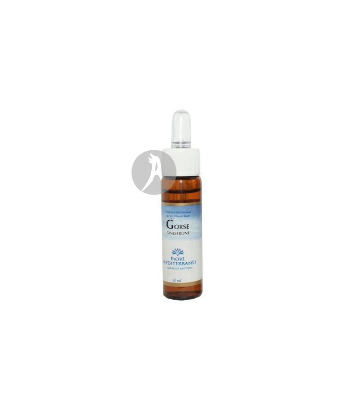 FM Gorse (Aulaga) · Forza Vitale · 10 Ml