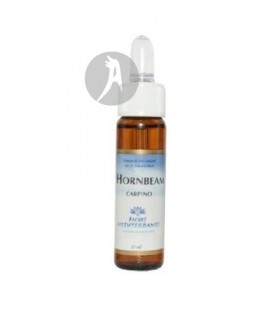 FM Hornbeam (Hojarazo) · Forza Vitale · 10 Ml