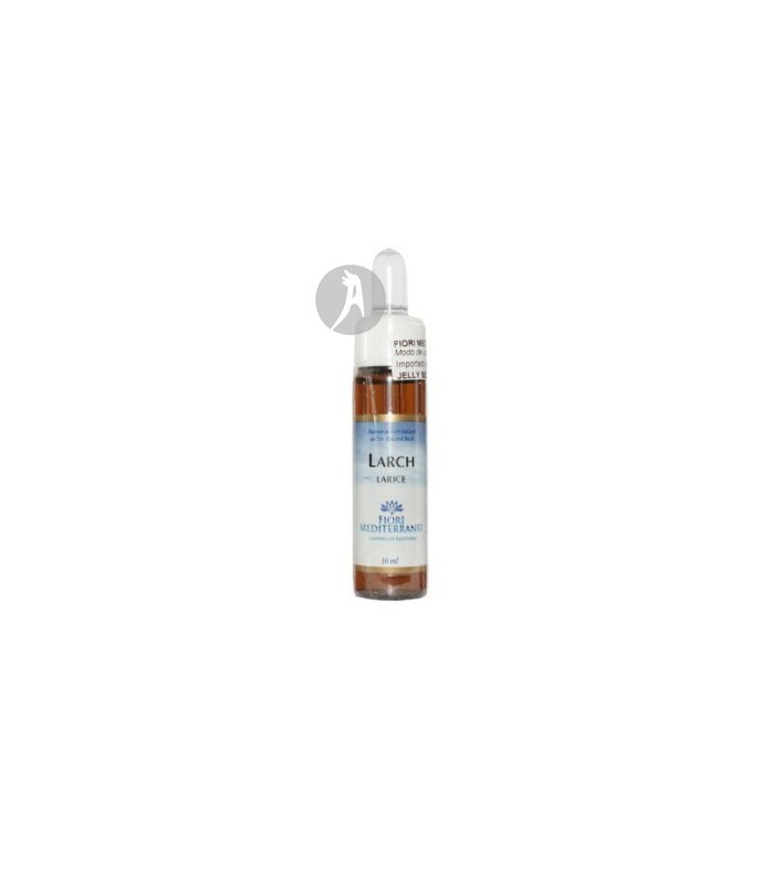 FM Larch (Alerce) · Forza Vitale · 10 Ml