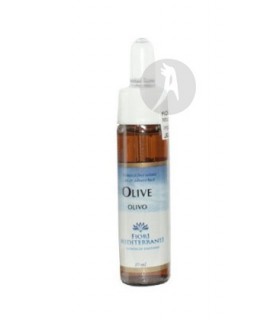 FM Olive (Olivo) · Forza Vitale · 10 Ml