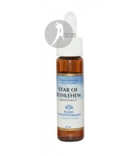 FM Star of Bethlehem (Estrella de Belén) · Forza Vitale · 10 Ml